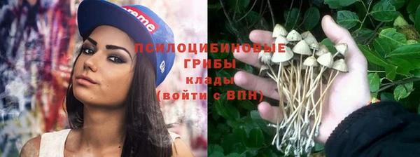 марки nbome Белокуриха