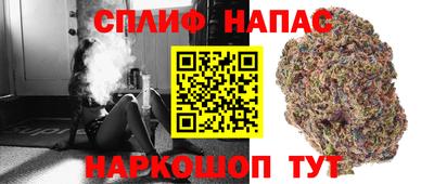 гашик Гусев
