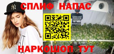 гашик Гусев