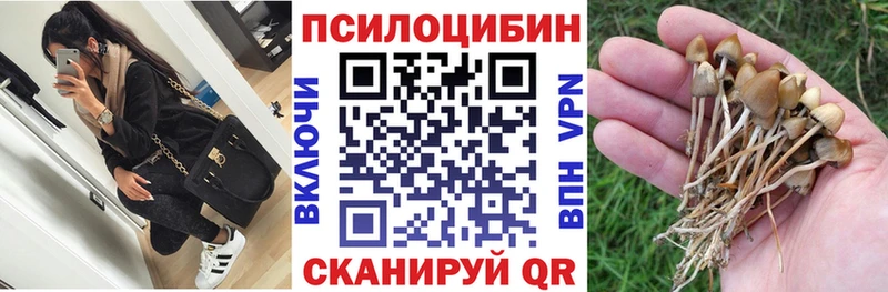Псилоцибиновые грибы Psilocybe  Краснокаменск 