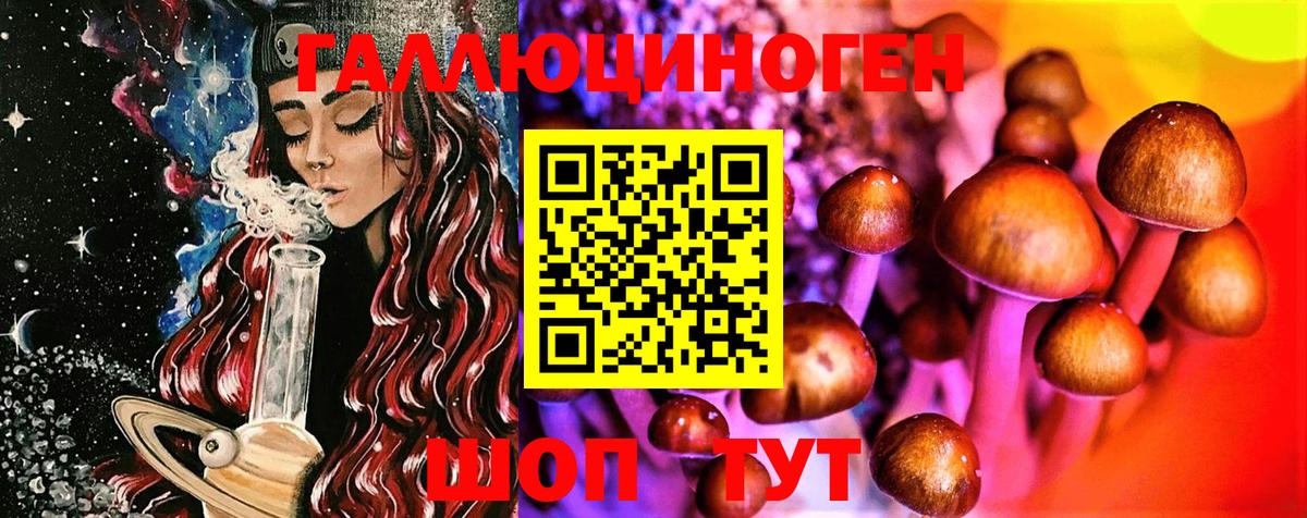 Краснокаменск  Галлюциногенные грибы MAGIC MUSHROOMS  Вход с VPN 